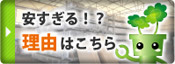 安すぎる理由